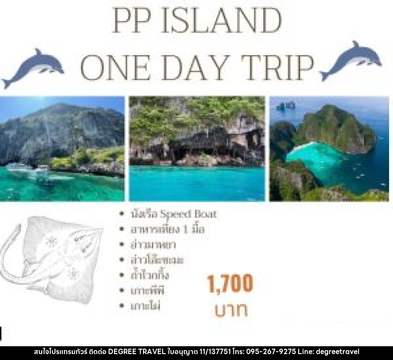 แพ็คเกจทัวร์กระบี่ PP ISLAND ONE DAY TRIP - บริษัท ดีกรี ทราเวล จำกัด แพ็คเกจทัวร์กระบี่ PP ISLAND ONE DAY TRIP - บริษัท ดีกรี ทราเวล จำกัด
