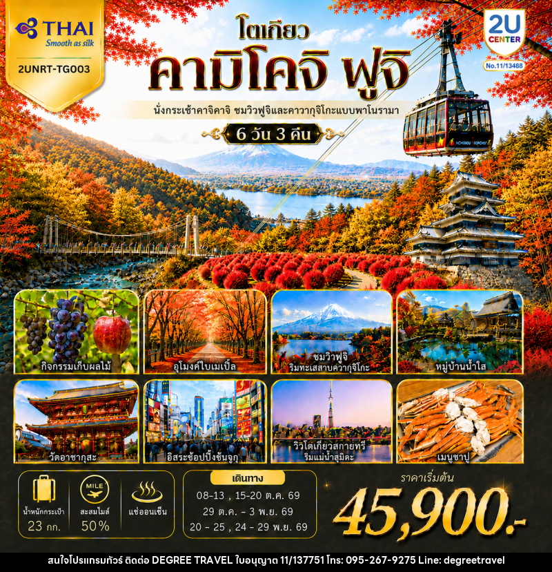 ทัวร์ญี่ปุ่น โตเกียว คามิโคจิ ฟูจิ นั่งกระเช้าคาจิคาจิ AUTUMN FULL BLOOM - บริษัท ดีกรี ทราเวล จำกัด