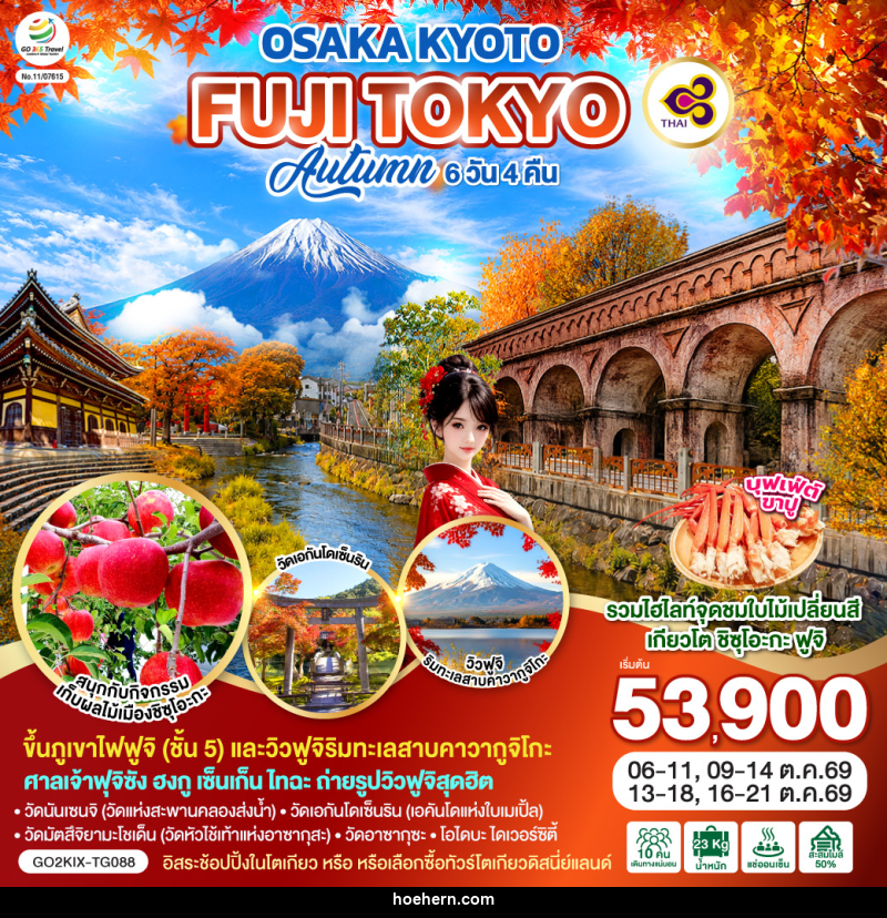 ทัวร์ญี่ปุ่น OSAKA KYOTO FUJI TOKYO  AUTUMN FRUIT PARK - เหาะเหินเดินอากาศ