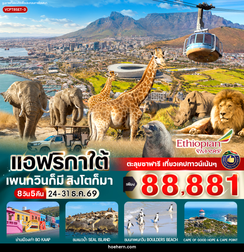 ทัวร์แอฟริกาใต้ แพนกวินก็มี สิงโตก็มา - เหาะเหินเดินอากาศ ทัวร์แอฟริกาใต้ แพนกวินก็มี สิงโตก็มา - เหาะเหินเดินอากาศ