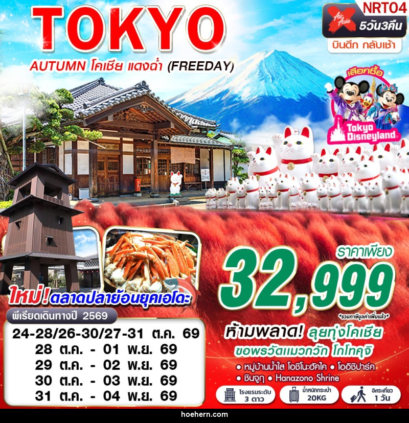 ทัวร์ญี่ปุ่น TOKYO AUTUMN โคเชีย แดงฉ่ำ (FREEDAY) - เหาะเหินเดินอากาศ