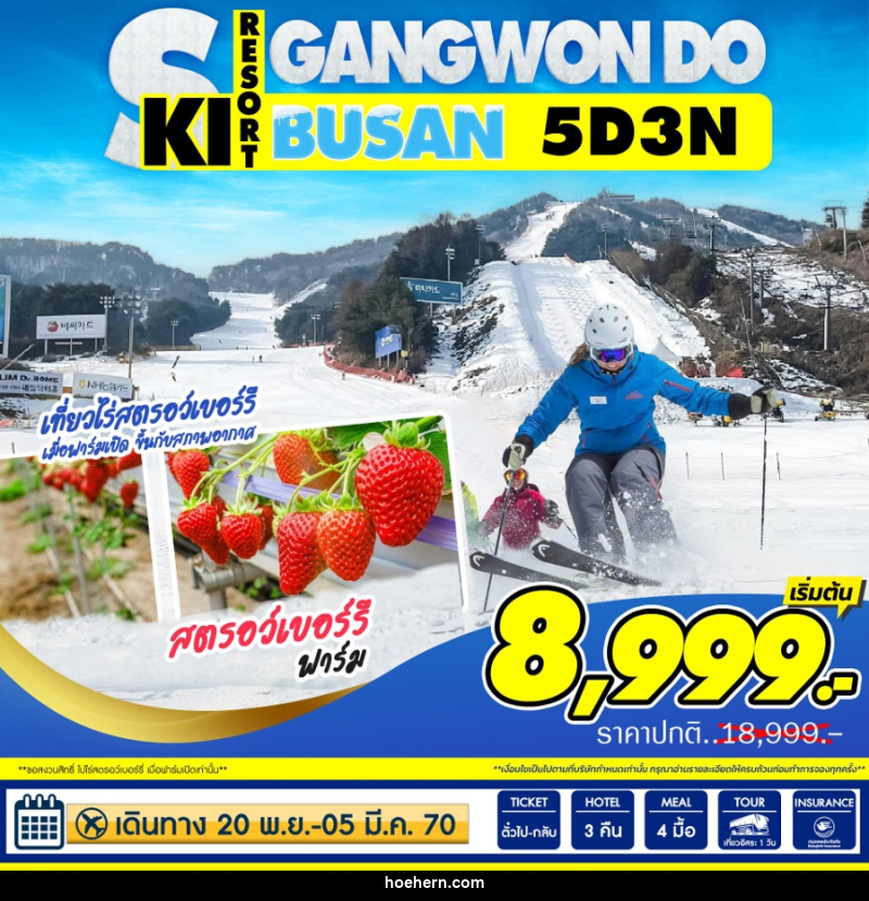 ทัวร์เกาหลี GANGWON DO SKI RESORT BUSAN - เหาะเหินเดินอากาศ