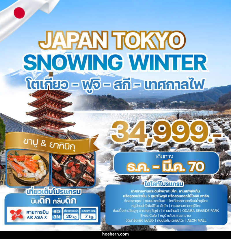 ทัวร์ญี่ปุ่น JAPAN TOKYO SNOWING WINTER - เหาะเหินเดินอากาศ