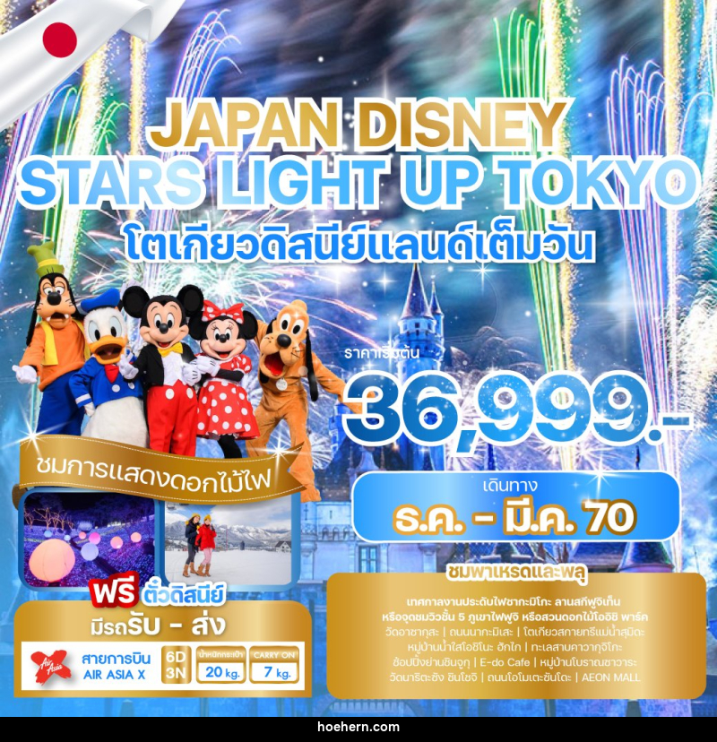 ทัวร์ญี่ปุ่น JAPAN DISNEY STARS LIGHT UP TOKYO - เหาะเหินเดินอากาศ
