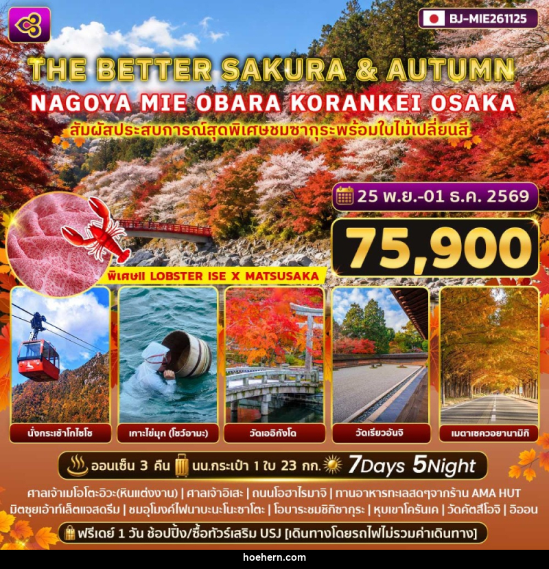 ทัวร์ญี่ปุ่น THE BETTER SAKURA & AUTUMN NAGOYA - MIE - OBARA - KORANKEI - OSAKA - เหาะเหินเดินอากาศ