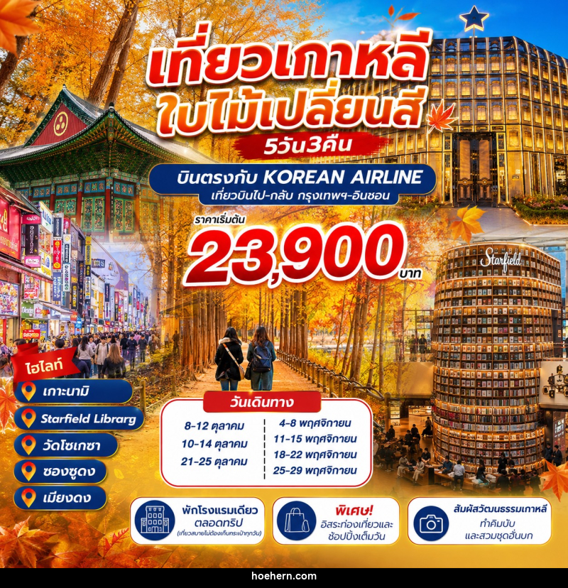 ทัวร์เกาหลี ชมใบไม้เปลี่ยนสี - เหาะเหินเดินอากาศ