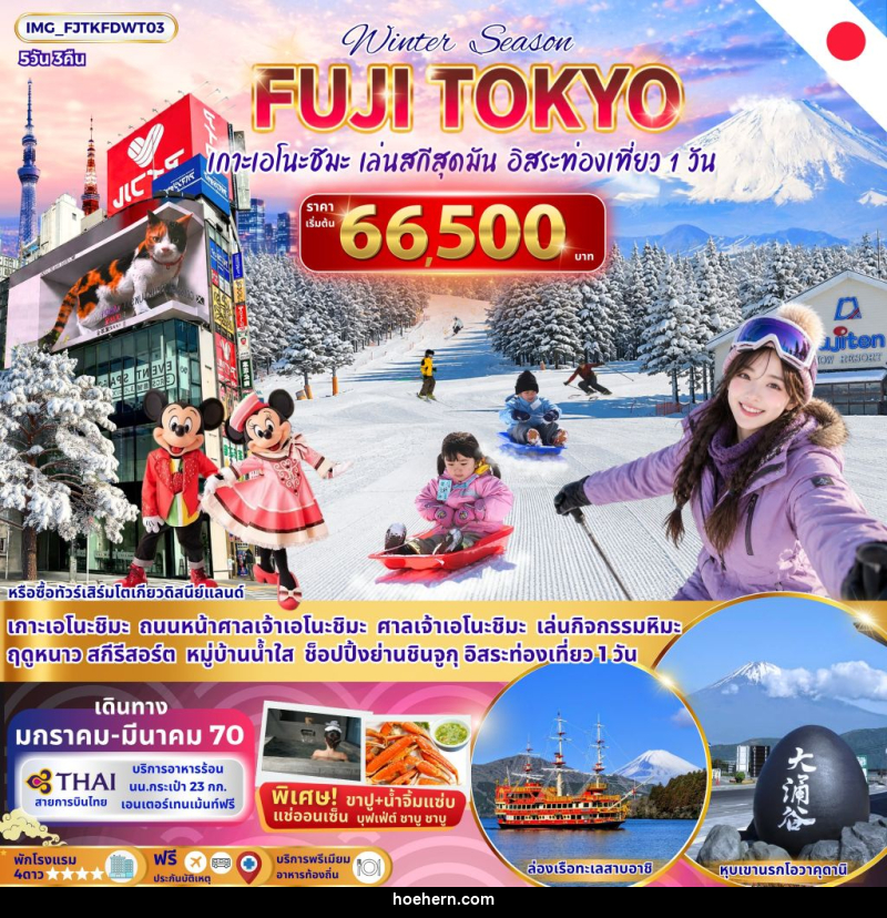 ทัวร์ญี่ปุ่น FUJI TOKYO WINTER - เหาะเหินเดินอากาศ