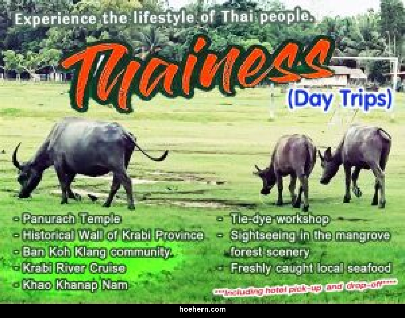 แพ็คเกจทัวร์กระบี่ Thainess Day Trips - เหาะเหินเดินอากาศ แพ็คเกจทัวร์กระบี่ Thainess Day Trips - เหาะเหินเดินอากาศ