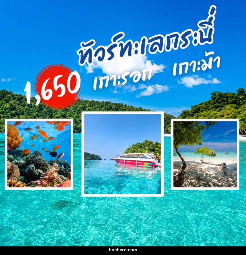 แพ็คเกจทัวร์กระบี่ เกาะรอก เกาะม้า - เหาะเหินเดินอากาศ แพ็คเกจทัวร์กระบี่ เกาะรอก เกาะม้า - เหาะเหินเดินอากาศ