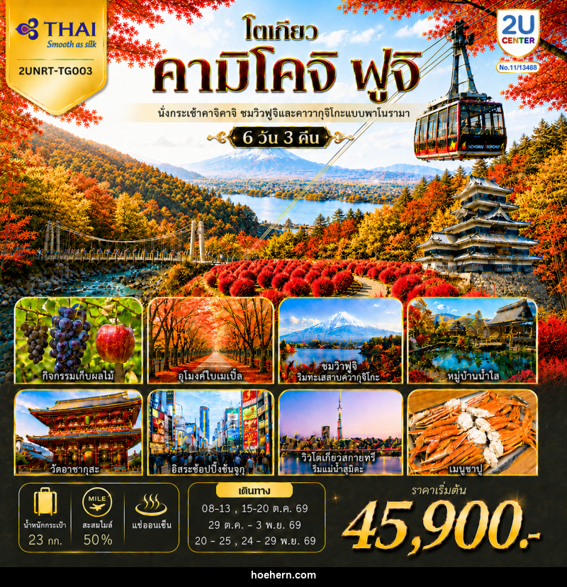 ทัวร์ญี่ปุ่น โตเกียว คามิโคจิ ฟูจิ นั่งกระเช้าคาจิคาจิ AUTUMN FULL BLOOM - เหาะเหินเดินอากาศ ทัวร์ญี่ปุ่น โตเกียว คามิโคจิ ฟูจิ นั่งกระเช้าคาจิคาจิ AUTUMN FULL BLOOM - เหาะเหินเดินอากาศ