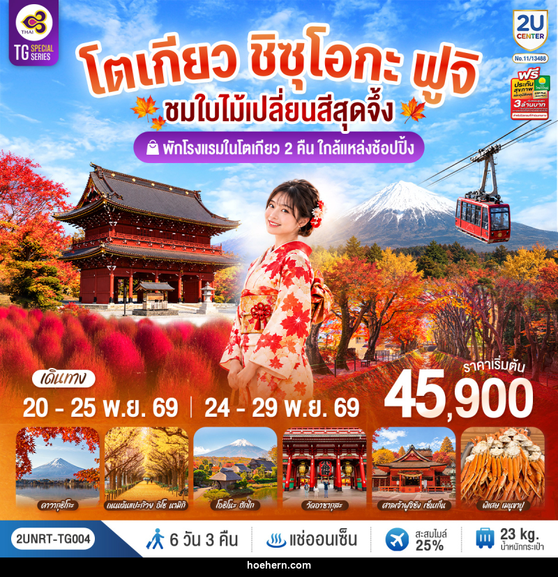 ทัวร์ญี่ปุ่น โตเกียว ชิซุโอกะ ฟูจิ นั่งกระเช้าคาจิคาจิ ชมใบไม้เปลี่ยนสีสุดจึ้ง - เหาะเหินเดินอากาศ