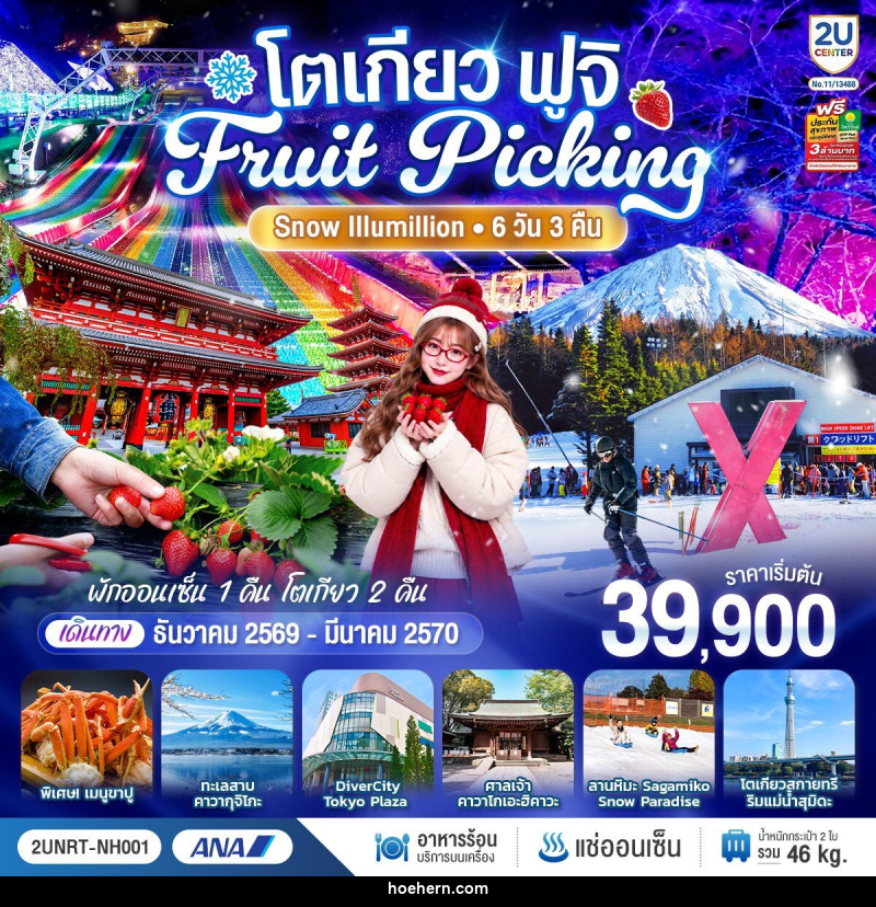 ทัวร์ญี่ปุ่น โตเกียว ฟูจิ FRUIT PICKING SNOW Illumillion - เหาะเหินเดินอากาศ