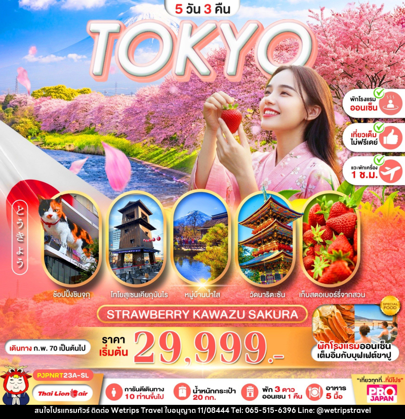 ทัวร์ญี่ปุ่น PRO TOKYO STRAWBERRY KAWAZU SAKURA - WeTrips Travel Ltd.,Part