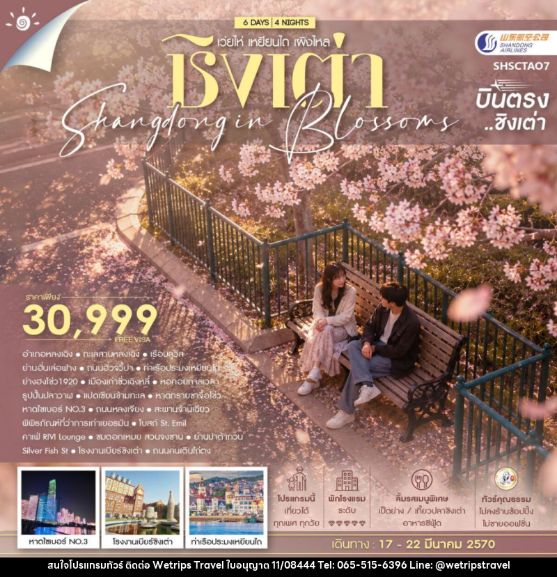 ทัวร์จีน-ชิงเต่า ทัวร์คุณธรรม SHANDONG IN BLOSSOMS ชิงเต่า เว่ยไห่ เหยียนไถ เผิงไหล 6 วัน 4 คืน (SC) - WeTrips Travel Ltd.,Part
