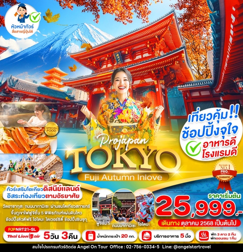 ทัวร์ญี่ปุ่น TOKYO FUJI AUTUMN INLOVE - บริษัท แองเจิลออนทัวร์ จำกัด