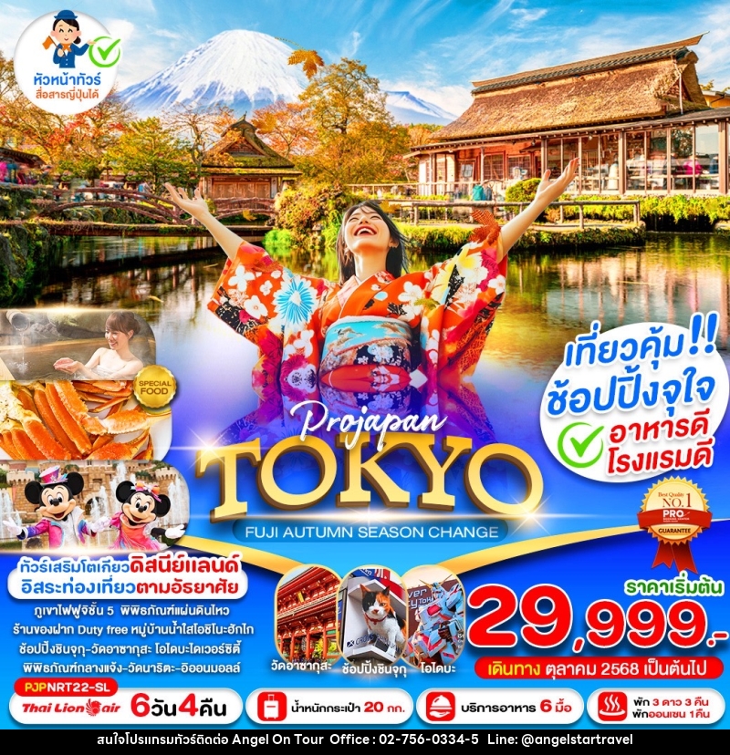 ทัวร์ญี่ปุ่น TOKYO FUJI AUTUMN SEASON CHANGE - บริษัท แองเจิลออนทัวร์ จำกัด