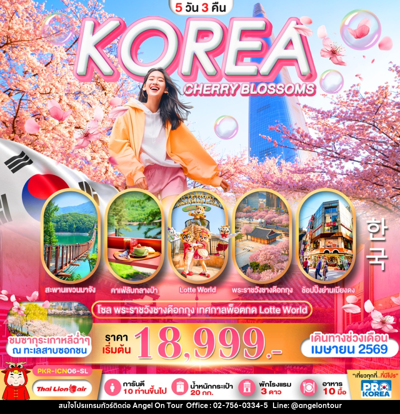 ทัวร์เกาหลี KOREA CHERRY BLOSSOMS โซล พระราชวังชางด๊อกกุง เทศกาลพ็อตกด Lotte World - บริษัท แองเจิลออนทัวร์ จำกัด