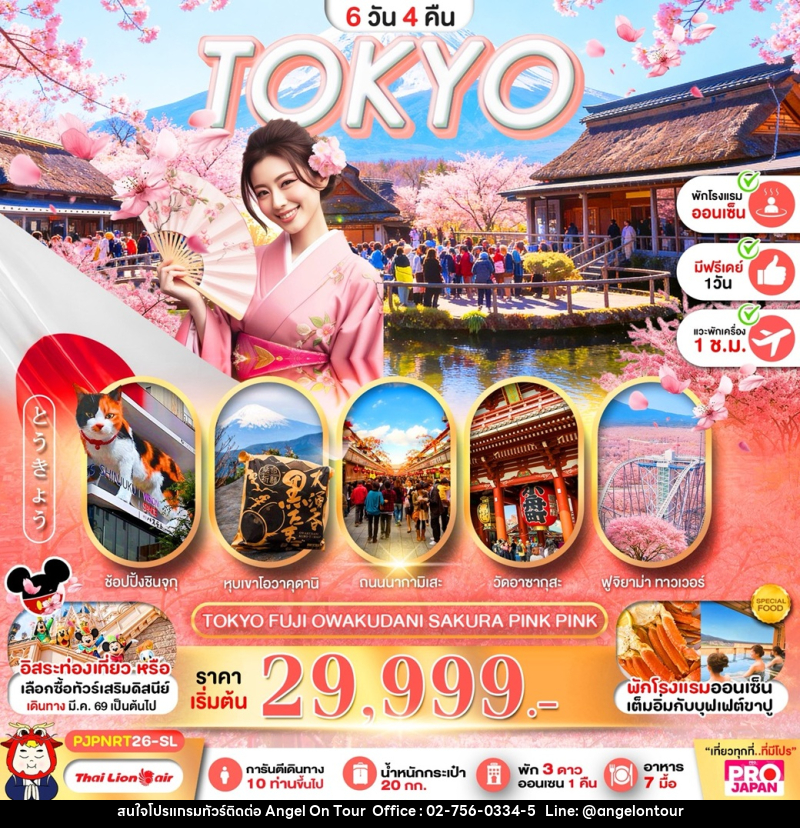 ทัวร์ญี่ปุ่น TOKYO FUJI OWAKUDANI SAKURA PINK PINK - บริษัท แองเจิลออนทัวร์ จำกัด