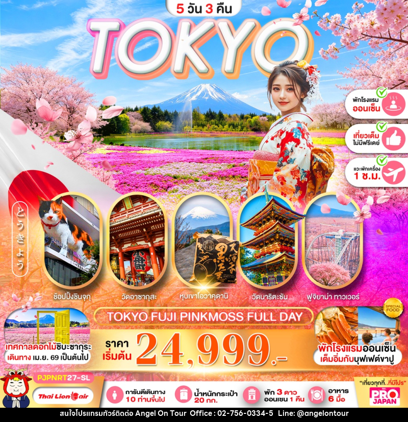 ทัวร์ญี่ปุ่น TOKYO FUJI PINK MOSS FULL DAY - บริษัท แองเจิลออนทัวร์ จำกัด
