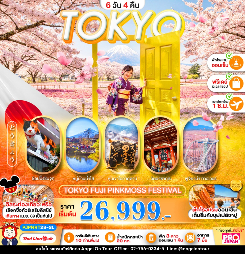 ทัวร์ญี่ปุ่น TOKYO FUJI PINK MOSS FESTIVEL - บริษัท แองเจิลออนทัวร์ จำกัด