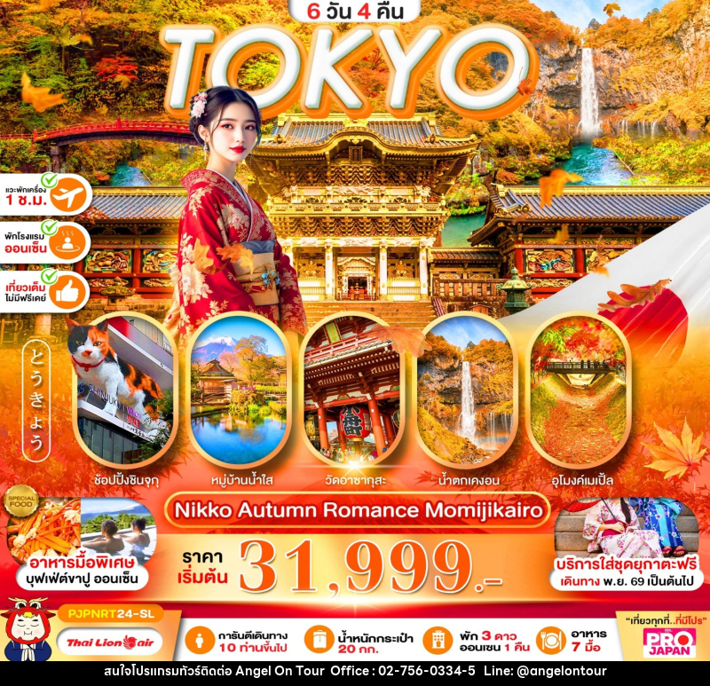 ทัวร์ญี่ปุ่น PRO TOKYO NIKKO AUTUMN ROMANCE MOMIJIKAIRO FULL DAY - บริษัท แองเจิลออนทัวร์ จำกัด