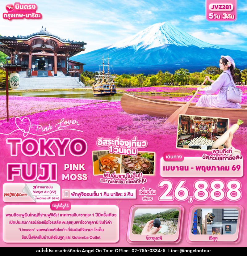 ทัวร์ญี่ปุ่น Pink Lover TOKYO FUJI PINK MOSS - บริษัท แองเจิลออนทัวร์ จำกัด