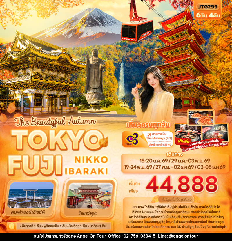 ทัวร์ญี่ปุ่น The Beautyful Autumn TOKYO FUJI NIKKO IBARAKI - บริษัท แองเจิลออนทัวร์ จำกัด