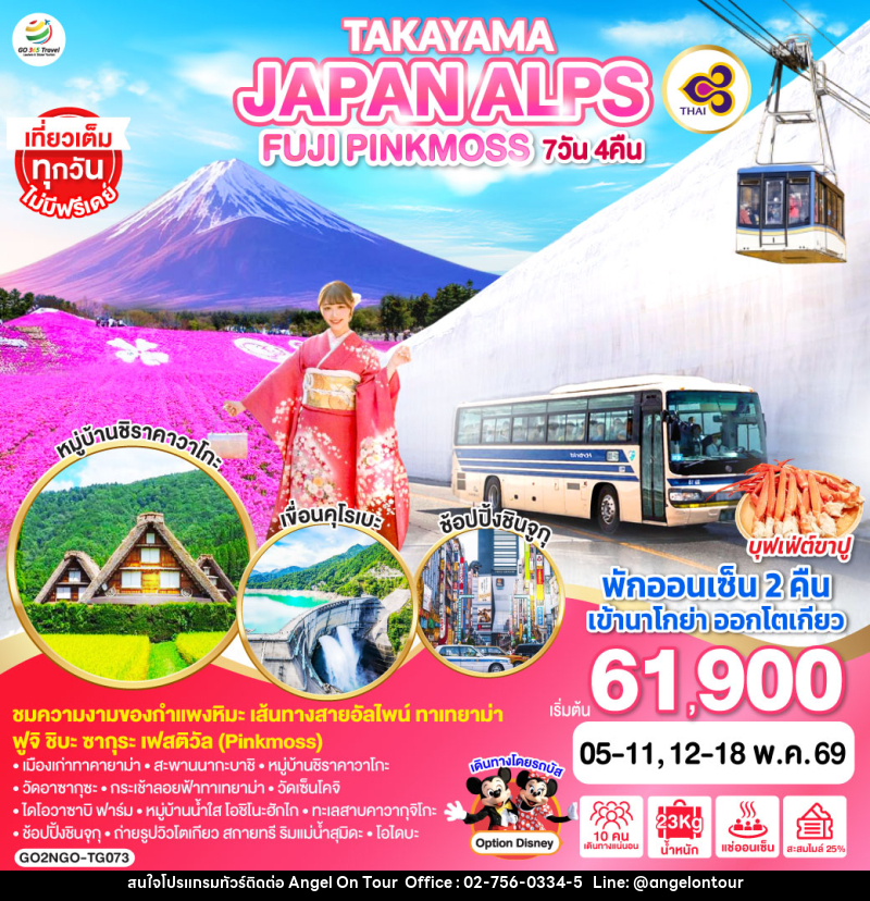ทัวร์ญี่ปุ่น TAKAYAMA JAPAN ALPS FUJI PINKMOSS - บริษัท แองเจิลออนทัวร์ จำกัด