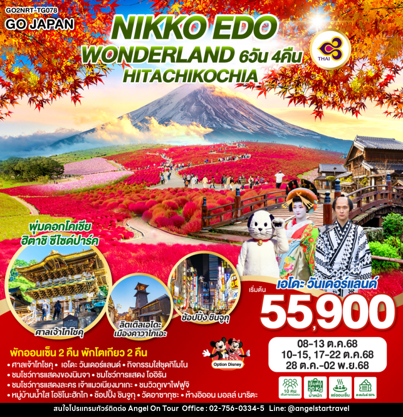 ทัวร์ญี่ปุ่น NIKKO EDO WONDERLAND HITACHIKOCHIA  - บริษัท แองเจิลออนทัวร์ จำกัด