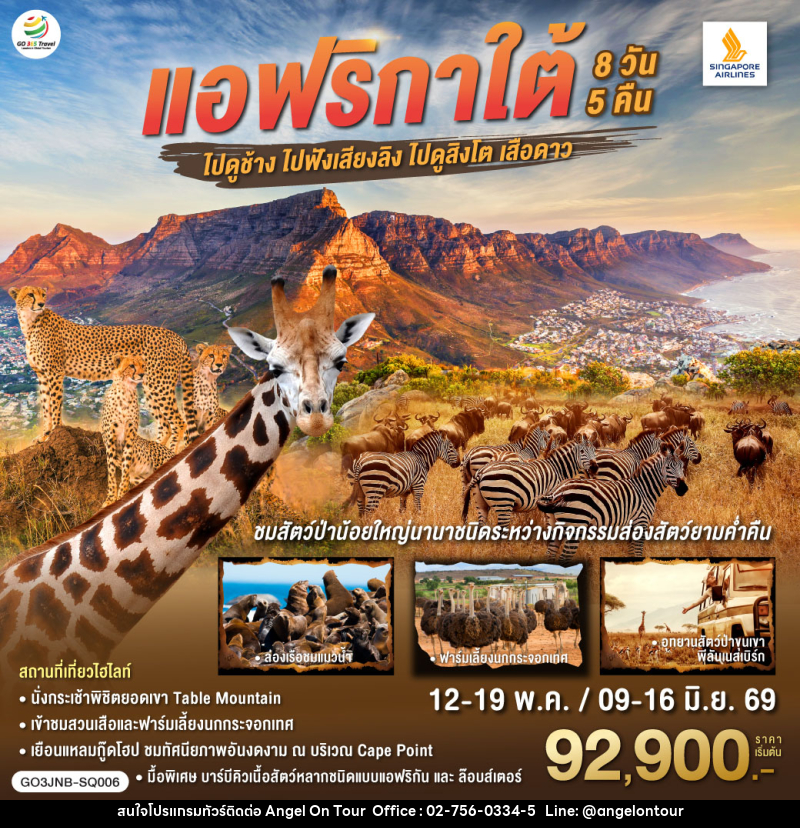 ทัวร์แอฟริกาใต้ ไปดูช้าง ไปฟังเสียงลิง ไปดูสิงโตเสือดาว - บริษัท แองเจิลออนทัวร์ จำกัด