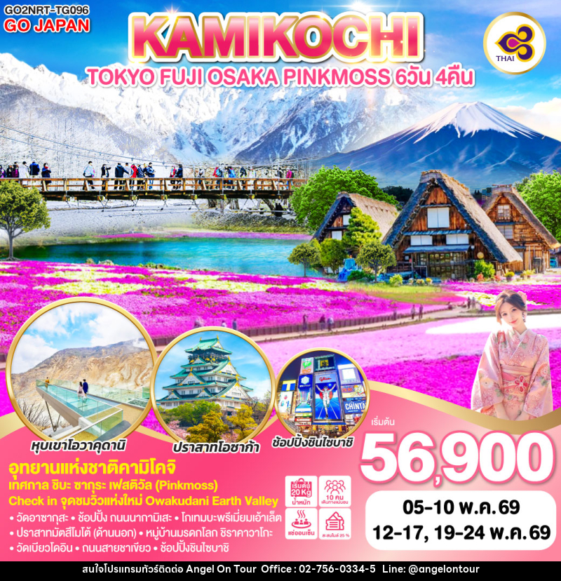ทัวร์ญี่ปุ่น TOKYO FUJI OSAKA KAMIKOCHI PINKMOSS - บริษัท แองเจิลออนทัวร์ จำกัด