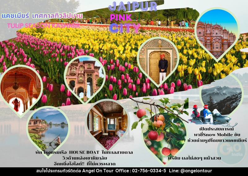 ทัวร์อินเดีย INDIA เทศกาลทิวลิปบาน แคชเมียร์ ชัยปูร์ ศรีนาคา กุลมาร์ค พาฮาลแกรม - บริษัท แองเจิลออนทัวร์ จำกัด