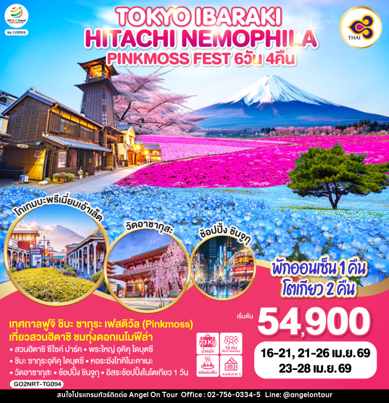 ทัวร์ญี่ปุ่น TOKYO IBARAKI HITACHI NEMOPHILA & PINKMOSS FEST - บริษัท แองเจิลออนทัวร์ จำกัด