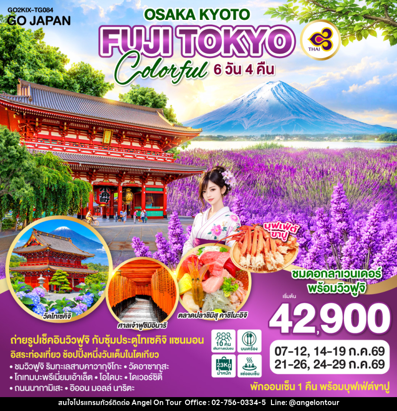 ทัวร์ญี่ปุ่น OSAKA KYOTO FUJI TOKYO COLORFUL - บริษัท แองเจิลออนทัวร์ จำกัด
