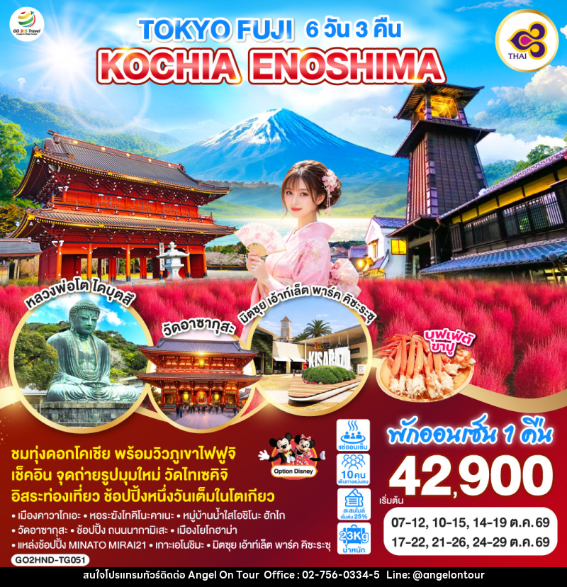 ทัวร์ญี่ปุ่น TOKYO FUJI KOCHIA ENOSHIMA - บริษัท แองเจิลออนทัวร์ จำกัด