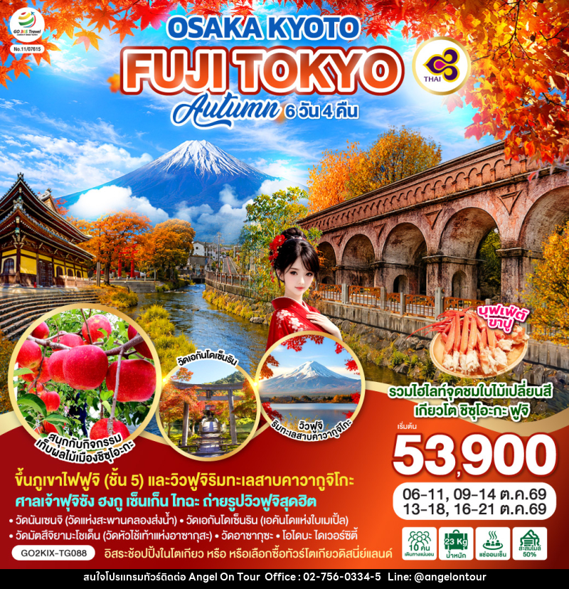 ทัวร์ญี่ปุ่น OSAKA KYOTO FUJI TOKYO  AUTUMN FRUIT PARK - บริษัท แองเจิลออนทัวร์ จำกัด