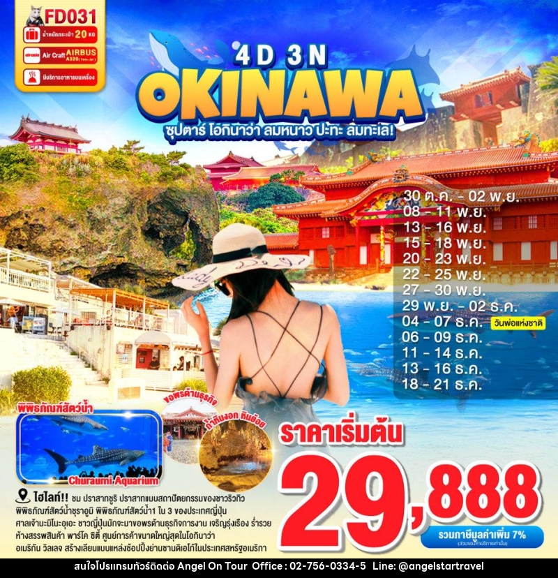 ทัวร์ญี่ปุ่น OKINAWA ซุปตาร์ โอกินาว่า ลมหนาว ปะทะ ลมทะเล!  - บริษัท แองเจิลออนทัวร์ จำกัด