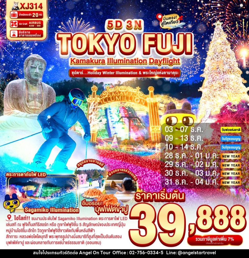 ทัวร์ญี่ปุ่น TOKYO FUJI KAMAKURA  ILLUMINATION DAYFLIGHT ซุปตาร์..Holiday Winter Illumination & พระใหญ่แห่งคามาคุระ - บริษัท แองเจิลออนทัวร์ จำกัด