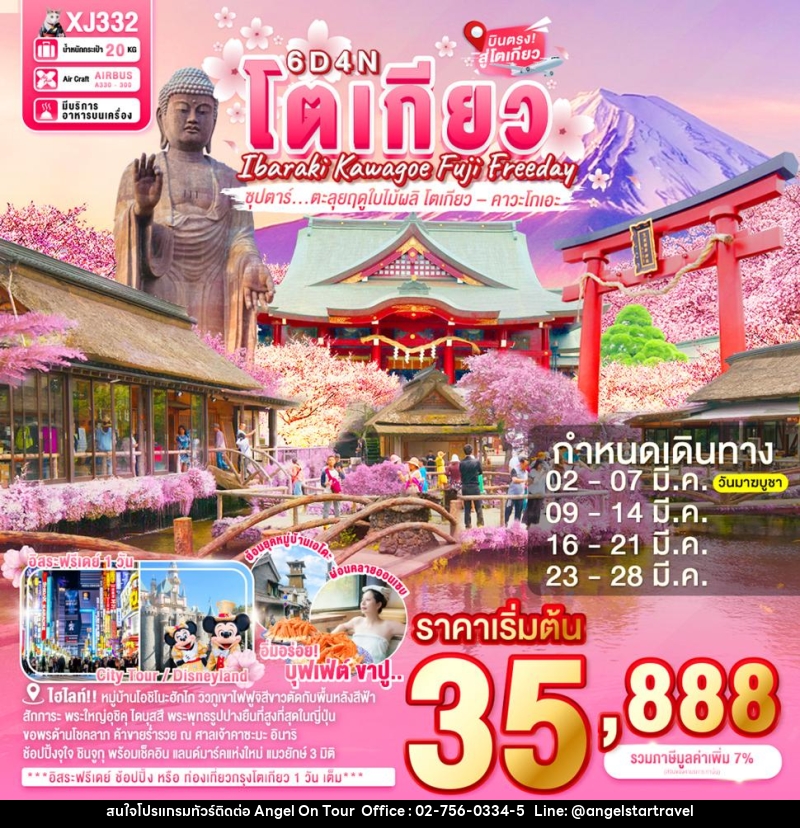 ทัวร์ญี่ปุ่น โตเกียว IBARAKI KAWAGOE FUJI TOKYO FREEDAY ซุปตาร์ ตะลุยฤดูใบไม้ผลิ โตเกียว–คาวะโกเอะ - บริษัท แองเจิลออนทัวร์ จำกัด