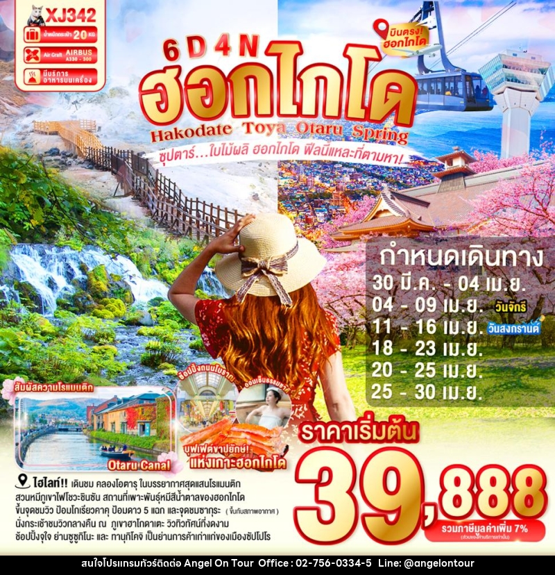 ทัวร์ญี่ปุ่น ฮอกไกโด Hakodate Toya Otaru Spring ซุปตาร์...ใบไม้ผลิ ฮอกไกโด ฟีลนี้แหละที่ตามหา! - บริษัท แองเจิลออนทัวร์ จำกัด
