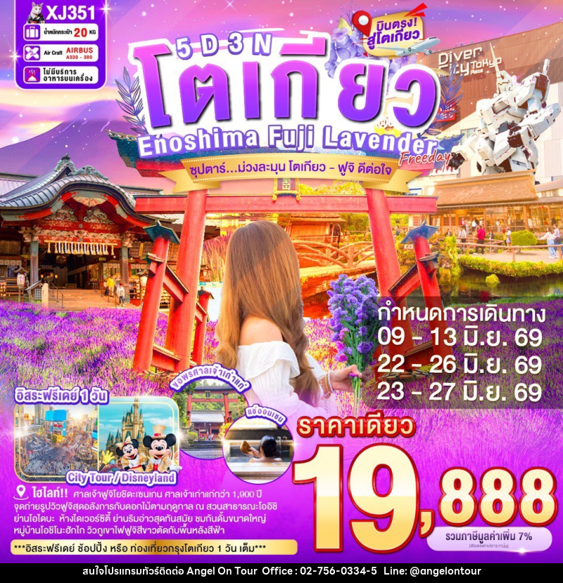 ทัวร์ญี่ปุ่น โตเกียว Enoshima Fuji Lavender  ซุปตาร์...ม่วงละมุน โตเกียว - ฟูจิ ดีต่อใจ - บริษัท แองเจิลออนทัวร์ จำกัด