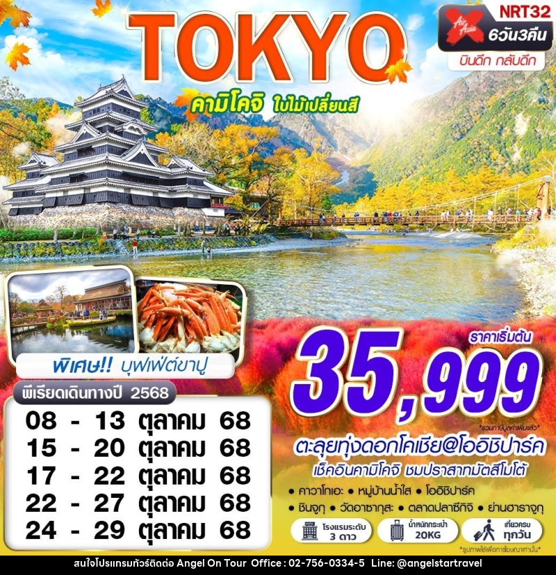 ทัวร์ญี่ปุ่น  TOKYO คามิโคจิ ใบไม้เปลี่ยนสี - บริษัท แองเจิลออนทัวร์ จำกัด