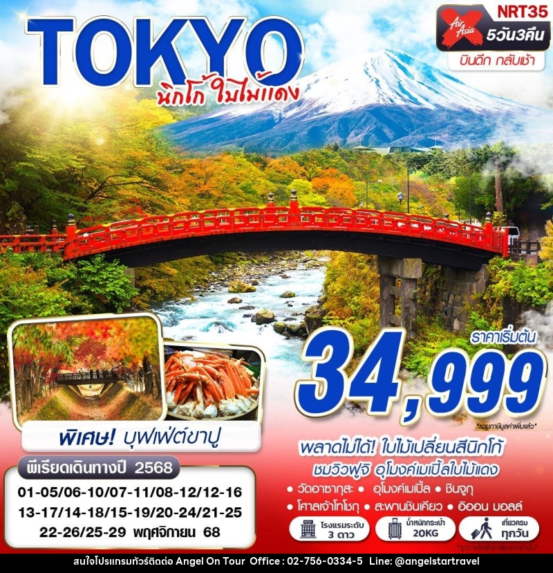 ทัวร์ญี่ปุ่น TOKYO นิกโก้ ใบไม้แดง - บริษัท แองเจิลออนทัวร์ จำกัด