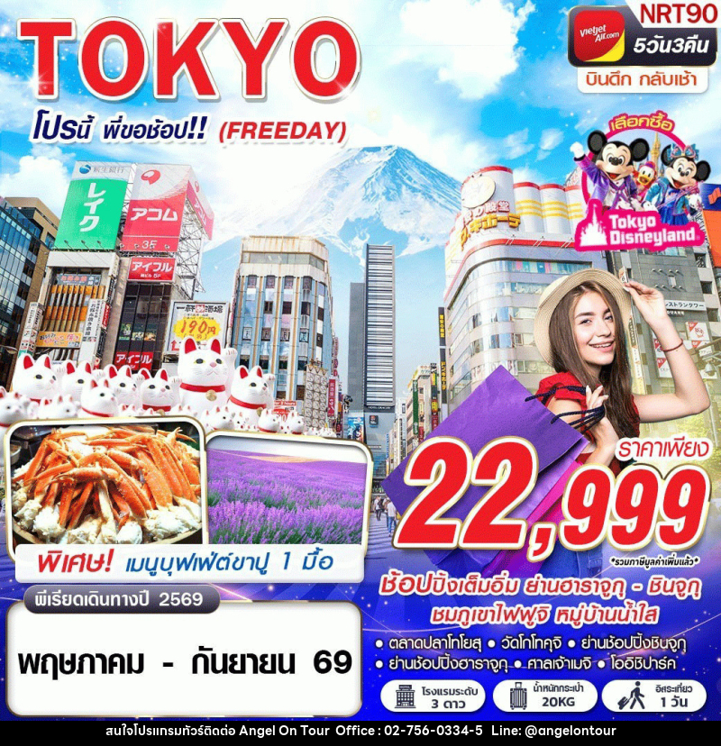 ทัวร์ญี่ปุ่น TOKYO โปรนี้ พี่ขอช้อป!! (FREEDAY) - บริษัท แองเจิลออนทัวร์ จำกัด