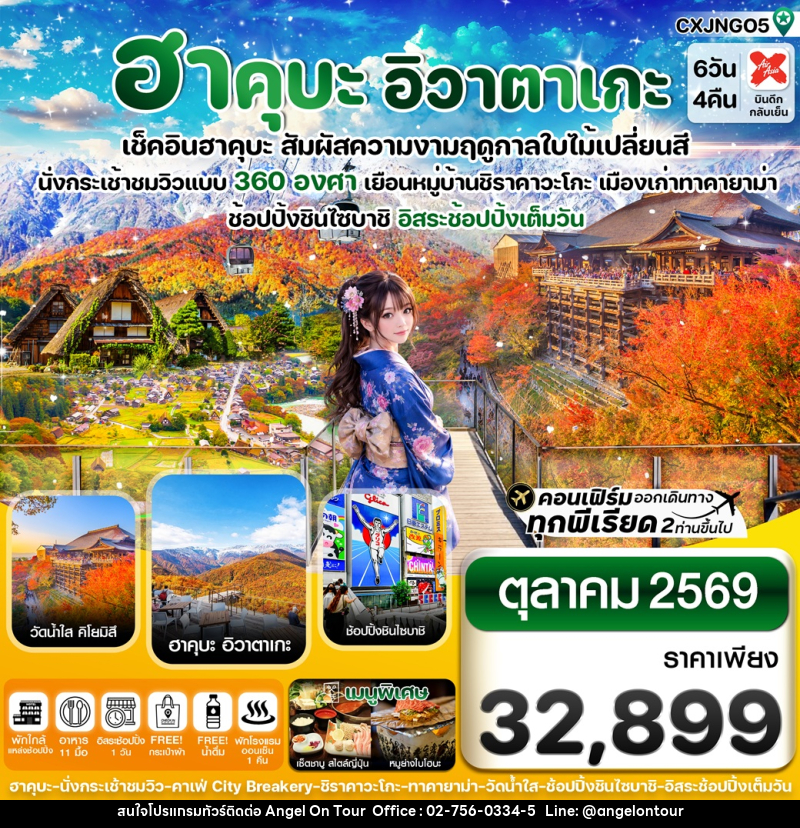 ทัวร์ญี่ปุ่น ฮาคุบะ อิวาตาเกะ เช็คอินฮาคุบะ สัมผัสความงามฤดูกาลใบไม้เปลี่ยนสี - บริษัท แองเจิลออนทัวร์ จำกัด