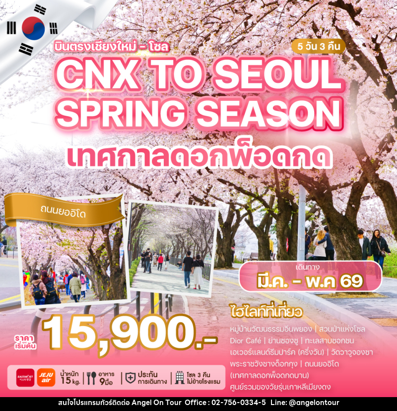 ทัวร์เกาหลี บินตรงเชียงใหม่ - โซล CNX TO SEOUL SPRING SEASON - บริษัท แองเจิลออนทัวร์ จำกัด