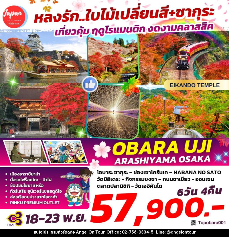 ทัวร์ญี่ปุ่น หลงรัก...ใบไม้เปลี่ยนสี+ซากุระ เที่ยวคุ้ม ฤดูโรแมนติก งดงามคลาสสิค OBARU UJI ARASHIYAMA OSAKA - บริษัท แองเจิลออนทัวร์ จำกัด