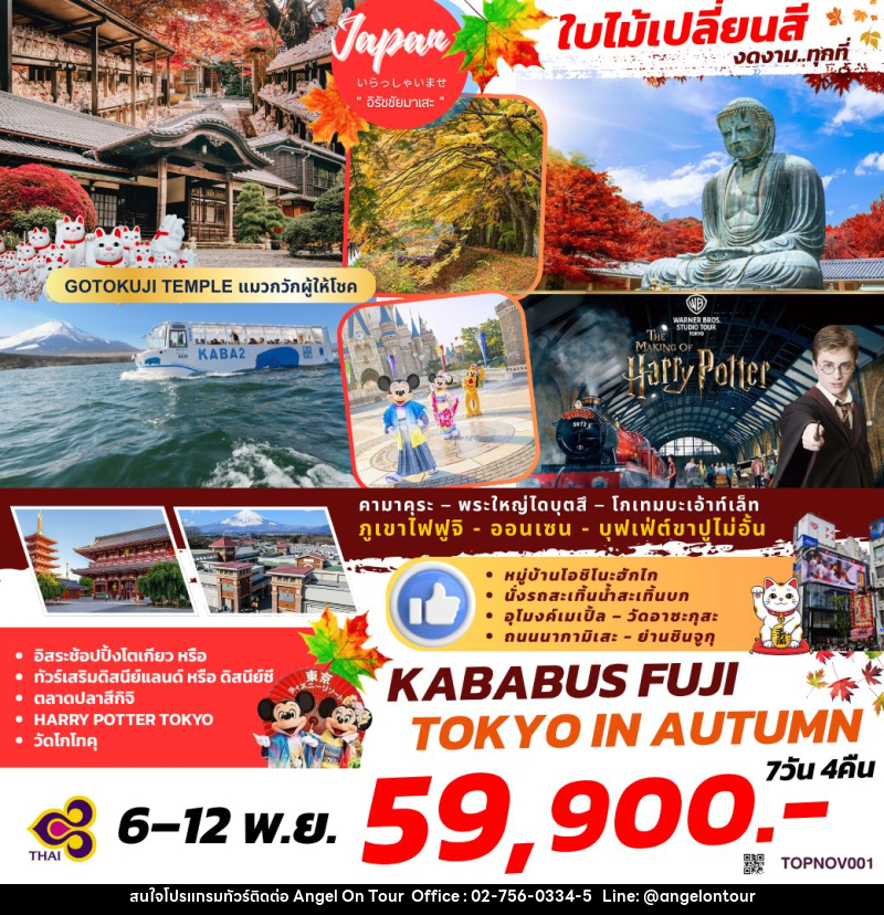 ทัวร์ญี่ปุ่น KABABUS FUJI TOKYO IN AUTUMN - บริษัท แองเจิลออนทัวร์ จำกัด