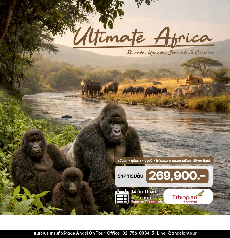 ทัวร์แอฟริกา Uitimate Africa - บริษัท แองเจิลออนทัวร์ จำกัด