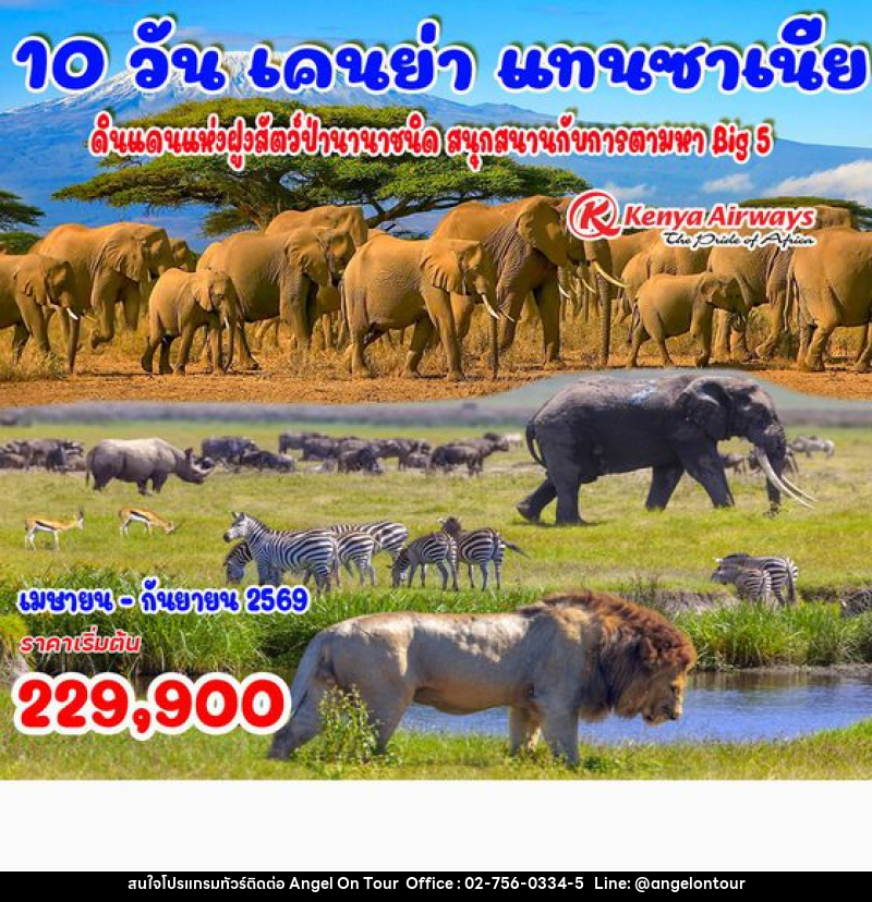 ทัวร์เคนย่า แทนซาเนีย - บริษัท แองเจิลออนทัวร์ จำกัด